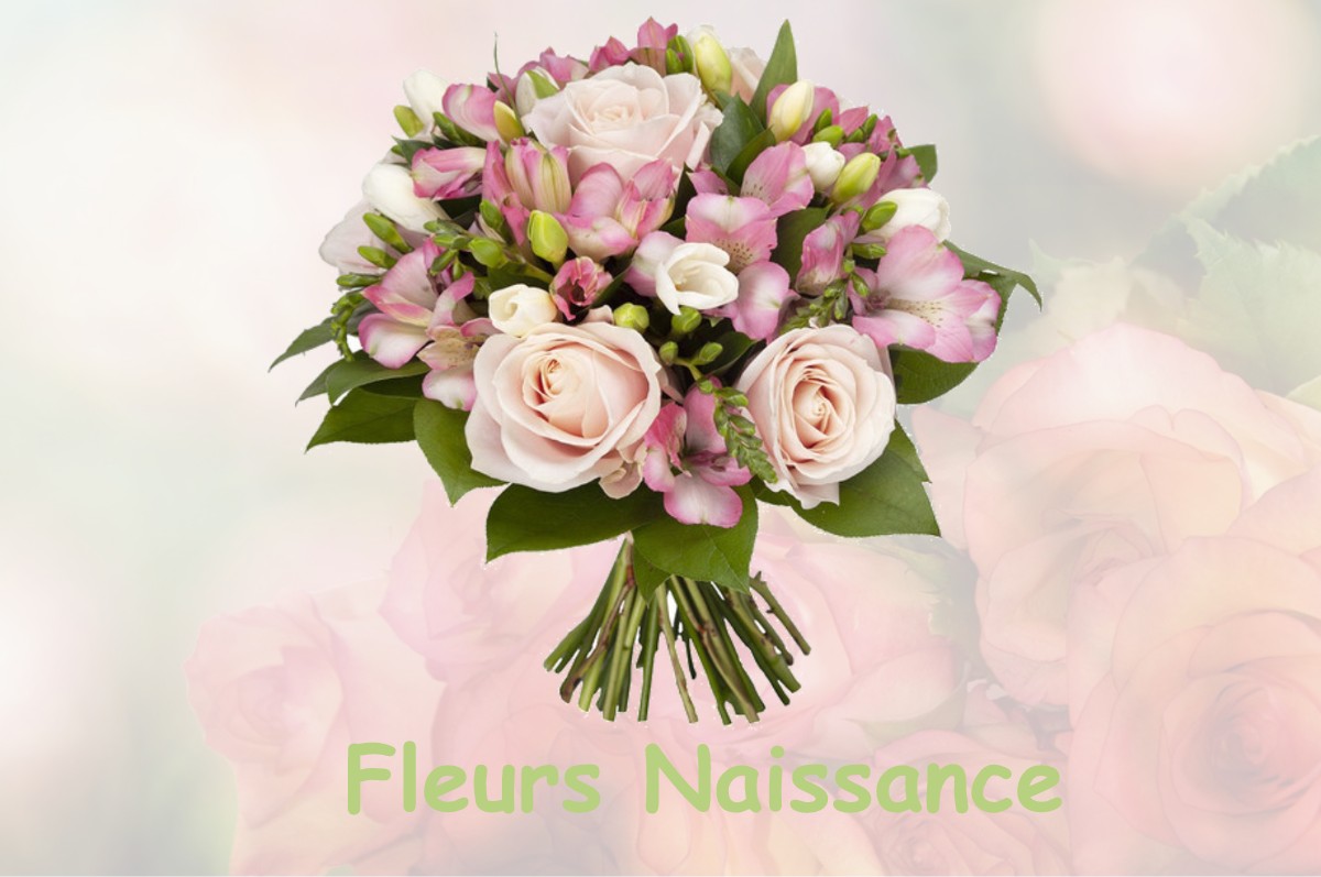 fleurs naissance BOUC-BEL-AIR